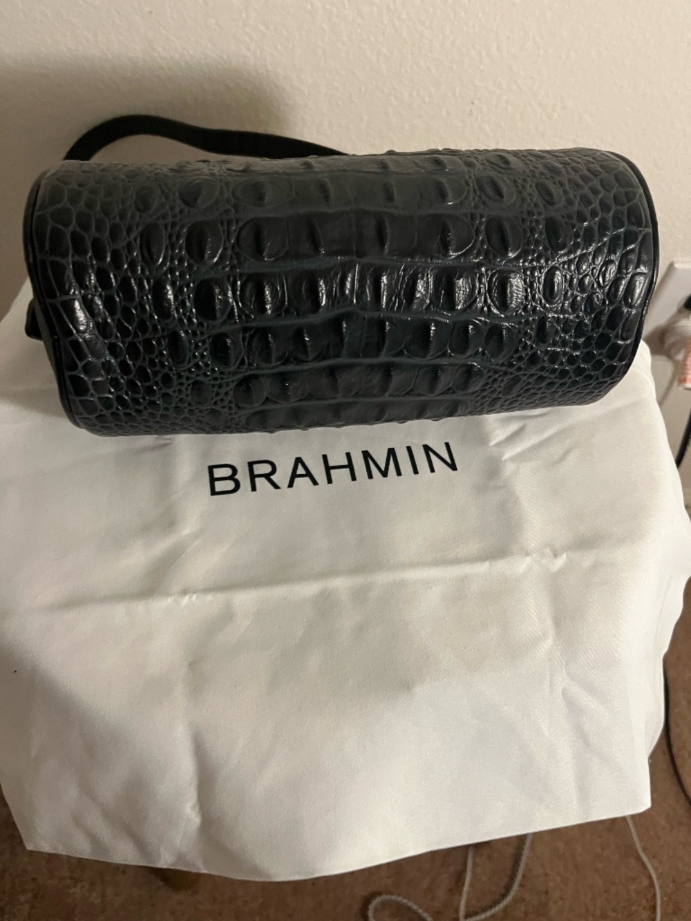 Brahmin - Picture 3 of 7